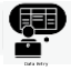 Data Entry